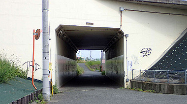p5151593_thumb.jpg