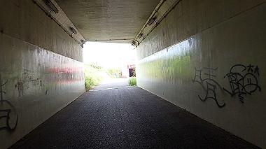 p5151594_thumb.jpg