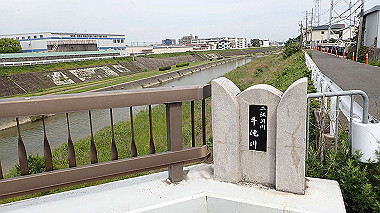 p5151598_thumb.jpg