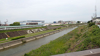 p5151599_thumb.jpg