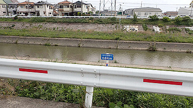 p5151602_thumb.jpg