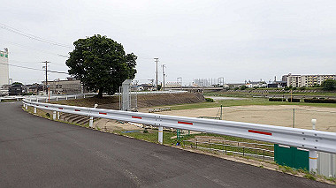 p5151610_thumb.jpg