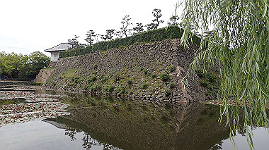 p5151625_thumb.jpg