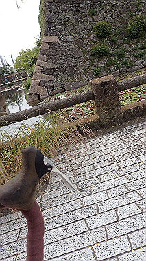 p5151627_thumb.jpg