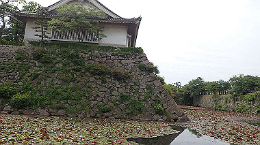 p5151633_thumb.jpg