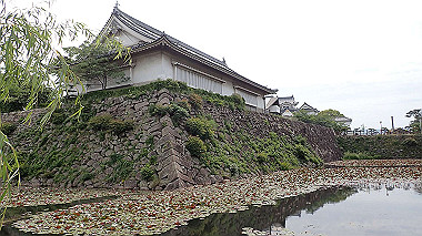 p5151634_thumb.jpg