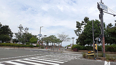 p5151648_thumb.jpg