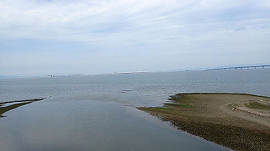 p5151668_thumb.jpg