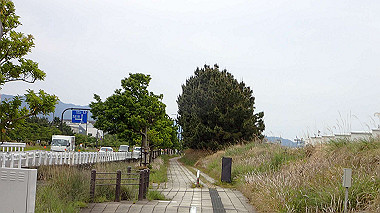 p5151676_thumb.jpg