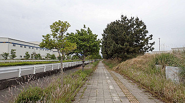 p5151677_thumb.jpg