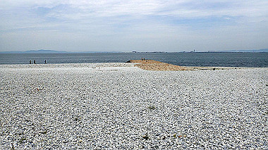 p5151684_thumb.jpg