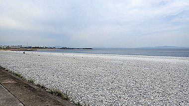 p5151685_thumb.jpg