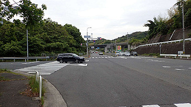 p5151688_thumb.jpg