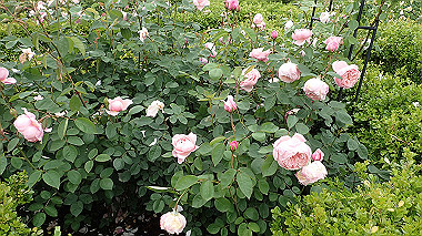 p5151690_thumb.jpg