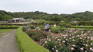 p5151701_thumb.jpg