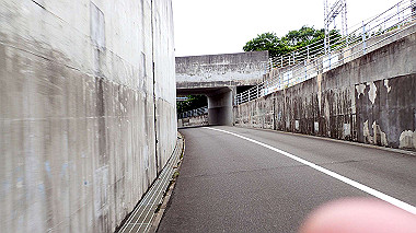 p5151720_thumb.jpg
