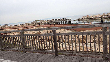 p5151735_thumb.jpg