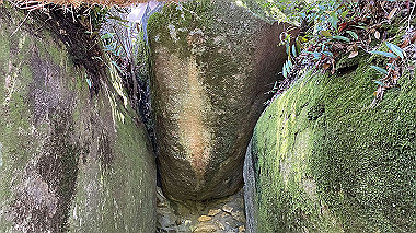 2022-05-28_11-54-18_962_thumb.jpg