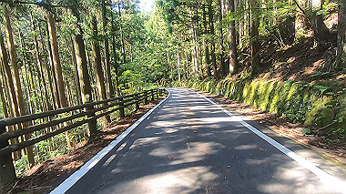 gx016555.mp4_snapshot_00.51_thumb.jpg