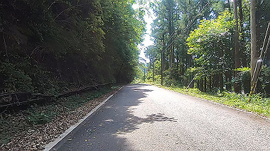gx016691.mp4_snapshot_01.57_thumb.jpg