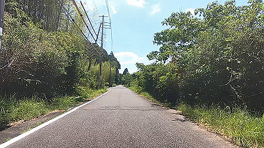 gx016692.mp4_snapshot_00.01_thumb.jpg