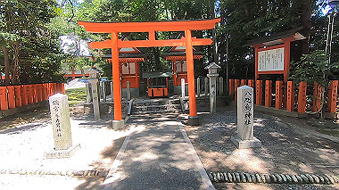 gx016697.mp4_snapshot_00.55_thumb.jpg