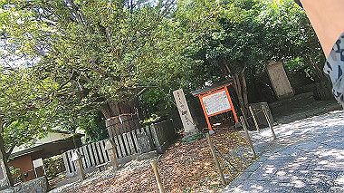 gx016697.mp4_snapshot_01.50_thumb.jpg