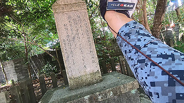 gx016697.mp4_snapshot_03.51_thumb.jpg