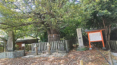gx016697.mp4_snapshot_04.02_thumb.jpg