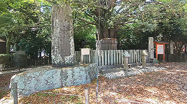 gx016697.mp4_snapshot_04.21_thumb.jpg