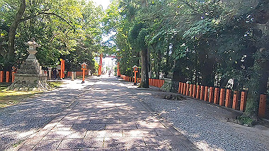 gx016697.mp4_snapshot_04.38_thumb.jpg
