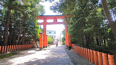 gx016697.mp4_snapshot_04.54_thumb.jpg