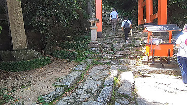 gx016699.mp4_snapshot_01.13_thumb.jpg
