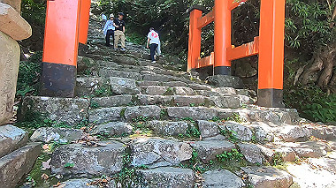 gx016700.mp4_snapshot_00.06_thumb.jpg