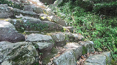 gx016700.mp4_snapshot_00.37_thumb.jpg