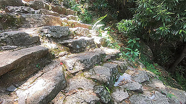 gx016700.mp4_snapshot_01.01_thumb.jpg