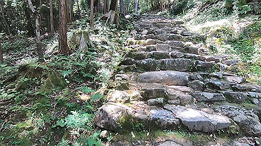 gx016701.mp4_snapshot_00.03_thumb.jpg