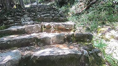 gx016701.mp4_snapshot_00.18_thumb.jpg