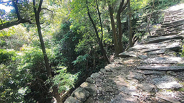 gx016701.mp4_snapshot_03.12_thumb.jpg