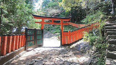 gx016702.mp4_snapshot_00.00_thumb.jpg