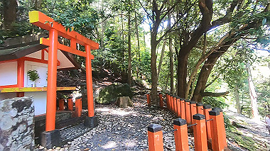 gx016702.mp4_snapshot_00.21_thumb.jpg