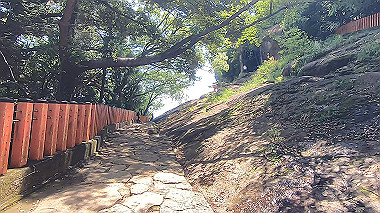 gx016702.mp4_snapshot_00.53_thumb.jpg