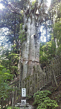 nori-156_thumb.jpg
