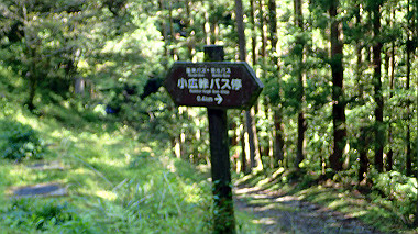 p5280170_thumb.jpg