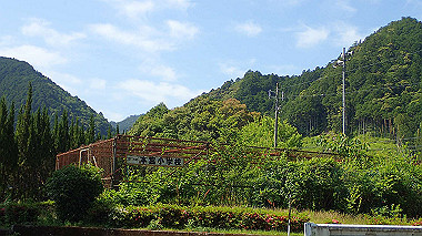p5280201_thumb.jpg