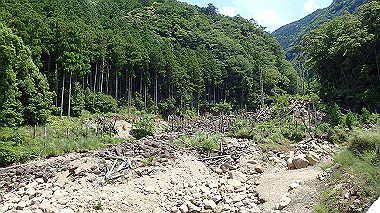p5280262_thumb.jpg