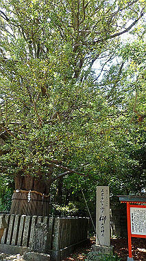 p5280274_thumb.jpg