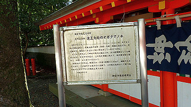 p5280278_thumb.jpg