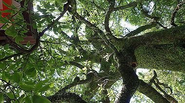 p5280279_thumb.jpg