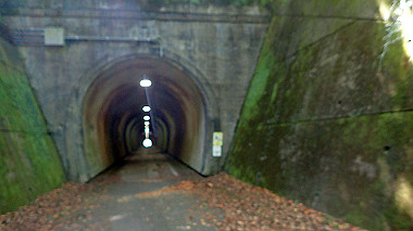 p5280331_thumb.jpg